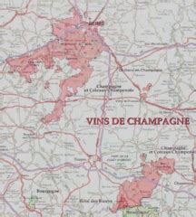 Find the Vine - Wine region Champagne