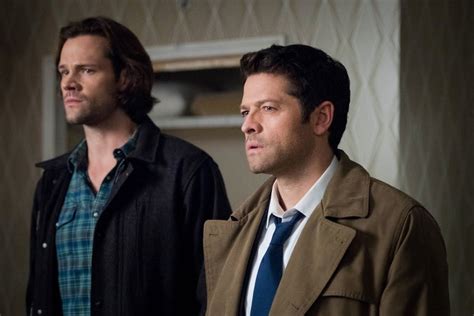 Picture Of Peter Ellis Supernatural - Petspare