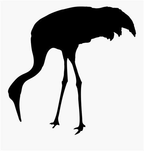 Sandhill Crane Bird Silhouette Clip Art - Crane Bird Silhouette Png ...