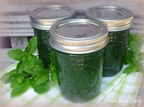 Homemade Mint Jelly from the Garden | Fresh Eggs Daily®