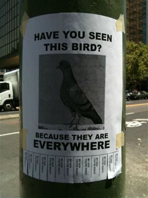 Funny Flyers Of The Week - 18 Pics