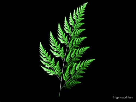 "IFS Lab -- Fractal Fern" by Hypnogoddess | Redbubble