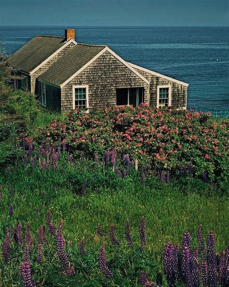 CHATHAM IVY on Instagram: “Cape Cod National Seashore beach cottage. #sceneonthecoast” | Beach ...