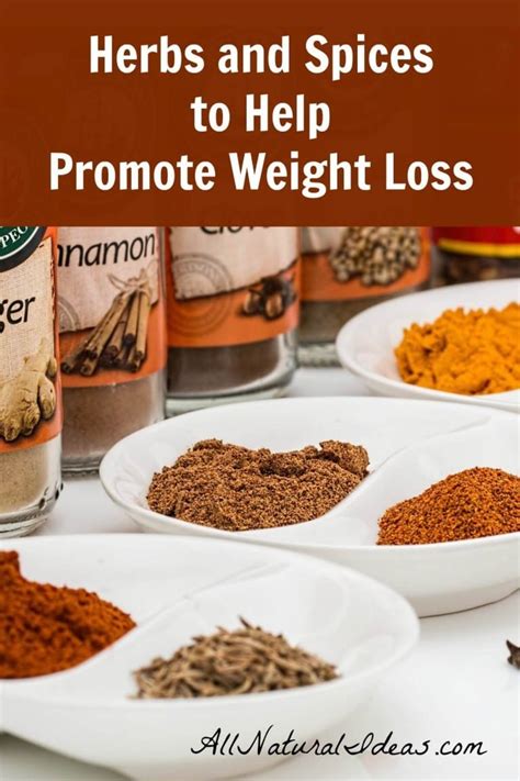 Natural Weight Loss Herbs and Spices | All Natural Ideas