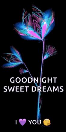 Sweet Dreams Gif - IceGif