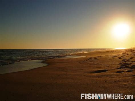 Dewey Beach Fishing Charters & Guides | FishAnywhere