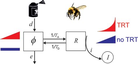 Time‐dependent effects on bumble bees of dietary exposures to farmland insecticides ...