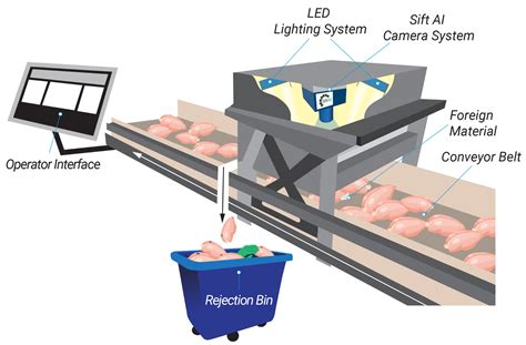 SiftAI® Foreign Material Detection System — MC TEC