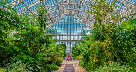 Kew Gardens London: A-Z Guide for First-Time Visitors