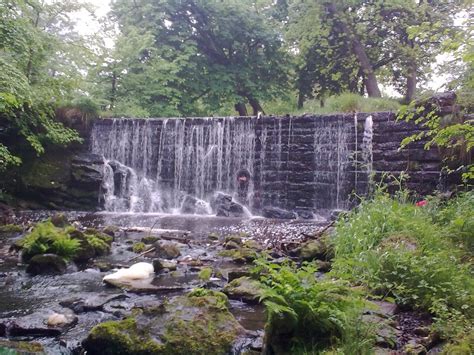 limefield falls, west calder, west lothian - a mini victoria falls created in honour of david ...