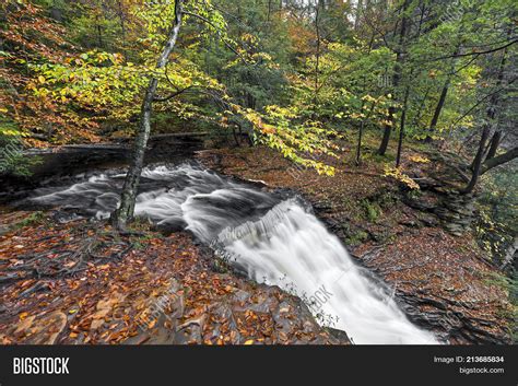 Woodland Creek Turns Image & Photo (Free Trial) | Bigstock