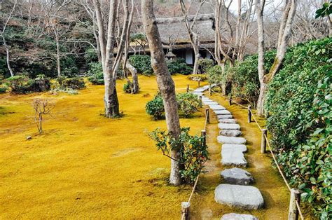 Japan's Most Beautiful Gardens: Tokyo, Kyoto, & Beyond