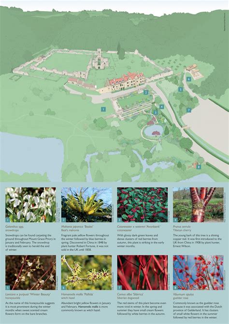 Nick Ellwood | Illustrated map for Mount Grace Priory House & Gardens