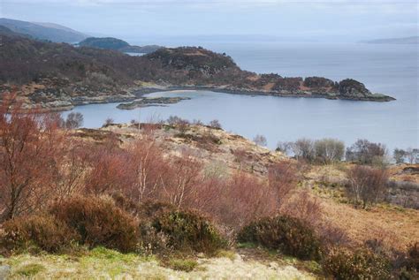 Tarbert Castle circular (Walkhighlands)