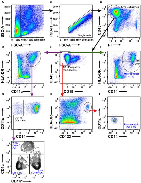 Macrophage Flow Cytometry