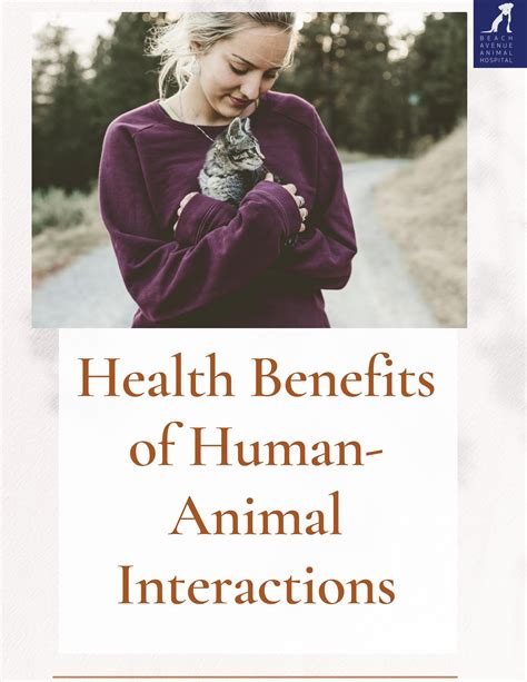 Health Benefits of Human-Animal Interactions by BEACH AVENUE ANIMAL HOSPITAL - Issuu