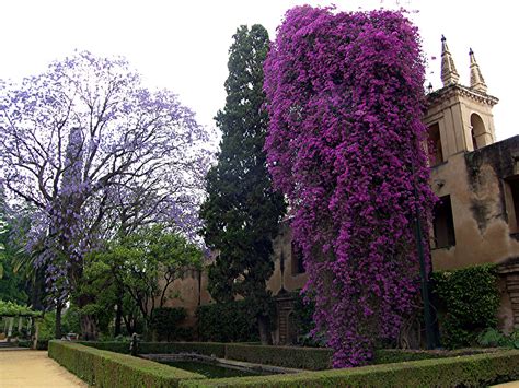 Seville Reales Alcazares - Gardens (4) | Andalusia (2) | Geography im Austria-Forum