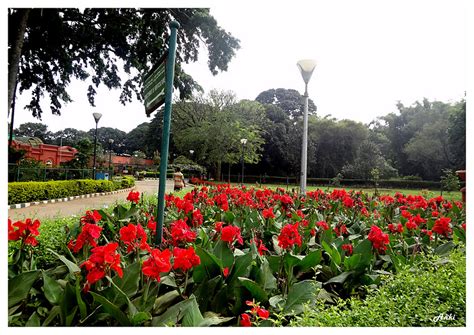 Lalbagh Botanical Garden Part 2:Photos,Review Videos | Anki On The Move