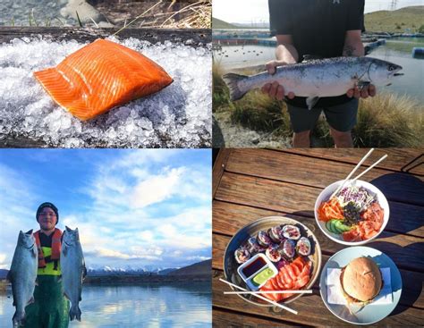 High Country Salmon — Eat New Zealand