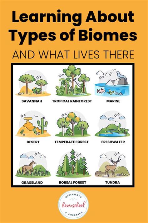 Learning About Types of Biomes and What Lives There | Biomes, Biomes ...