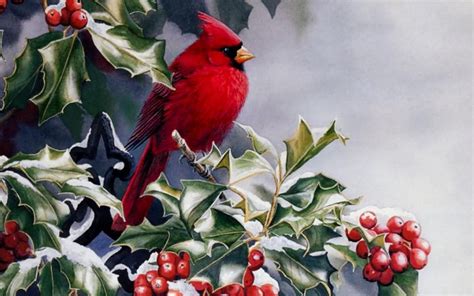 Red Bird Of Winter-Annette Opalczynski | Nature Poems