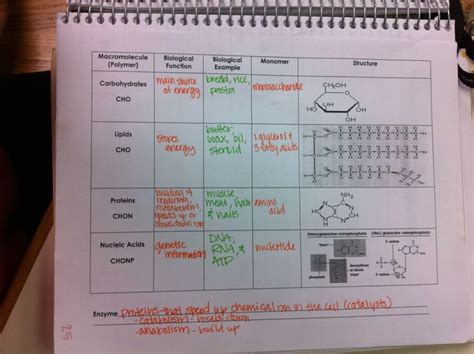 30++ Macromolecules Worksheet Answers – Worksheets Decoomo