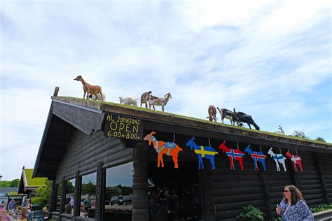 Grazing Goats on a Restaurant Roof - Goat Journal