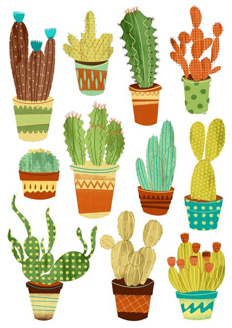 Eleven Potted Cacti | Cactus drawing, Cactus illustration, Succulents ...