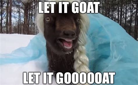 These Goat Memes Are the Greatest of All Time (25 Memes) | Funny goat ...