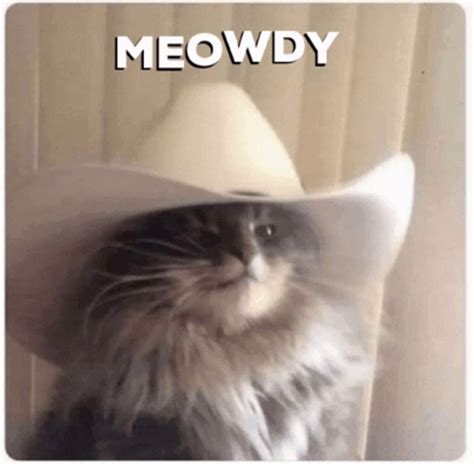 What Does Howdy Mean? - Meaning, Uses and More - FluentSlang