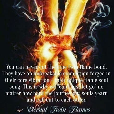 Twin Flame Reunion on Instagram: “Follow @twinflame.reunion 👈 for more gratitude, positivity ...