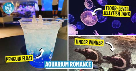 Sumida Aquarium: Penguins With Relationship Charts Updated Annually