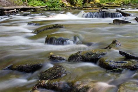 River stream stock image. Image of stream, shore, streaming - 2906069