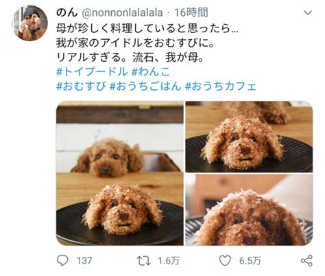 リアルなトイプードルおにぎり | mixiニュース | Dog food recipes, Food animals, Food