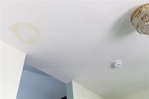 How to Remove Water Stains on a Ceiling