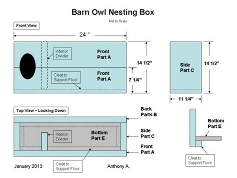 How to Build a Barn Owl Nesting Box: Barn Owl Nest Box Plans - HubPages