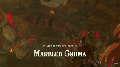 How To Defeat Marbled Gohma Boss In Zelda: TotK