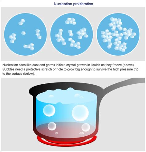 nucleate - definition - What is