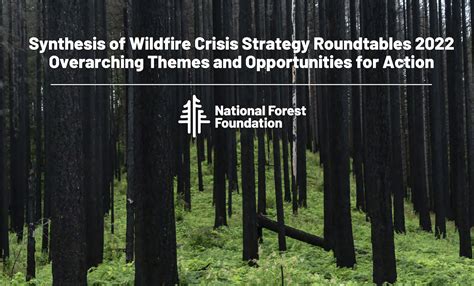 Synthesis Report: Wildfire Crisis Strategy Roundtable - California Wildfire & Forest Resilience