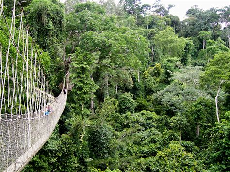 Kakum National Park - Ghana | Sarah | Flickr