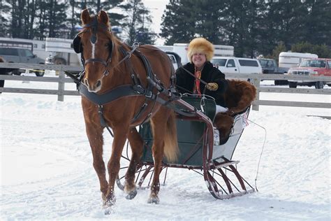 One horse open sleigh! | This was another of the competitors… | Flickr