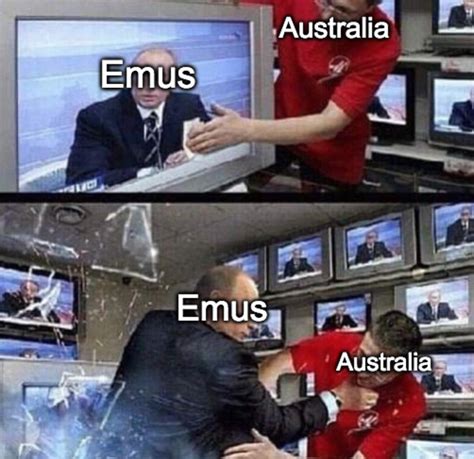 Emus : r/HistoryMemes