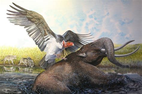 Teratornis merriami, Canis dirus and Mammut americanum at the La Brea Tar Pits in California by ...