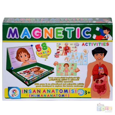 Manyetik İnsan Anatomisi (Organlar-İskelet-Vücut) 7171 | Manyetik İnsan ...