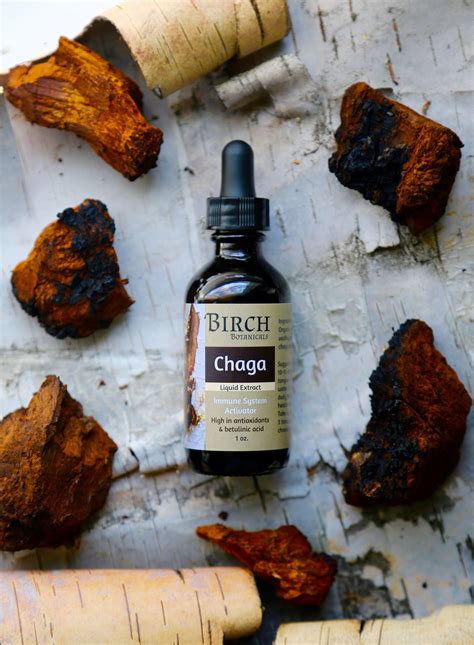 Chaga Extract — Birch Botanicals