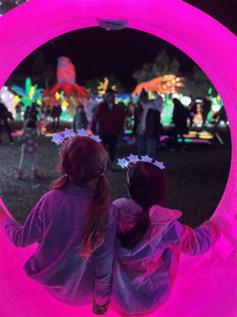 8 Tips for Visiting Glowfari with Kids at the Oakland Zoo this Winter ...