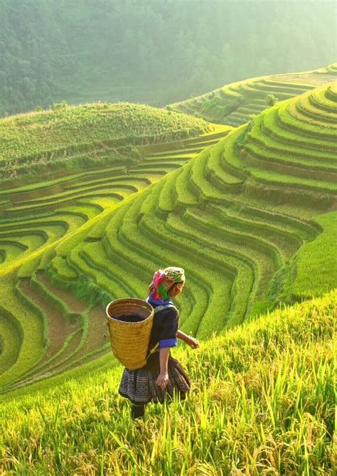 16 Vietnam Travel Tips You Need to Know • Hoponworld