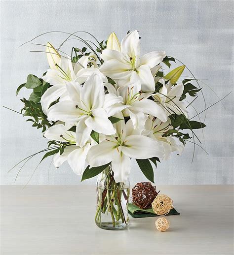 White Lily Bouquet | Flowers Delivery | Harry & David