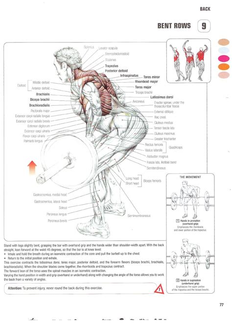 Strength Training Anatomy 2nd Edition