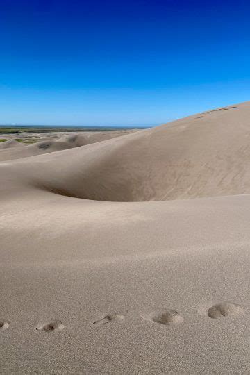 Sandboarding in Colorado (Great Sand Dunes) - Champagne Tastes®